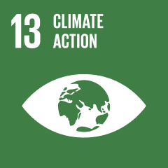 Goal #=13 - Climate Action.png